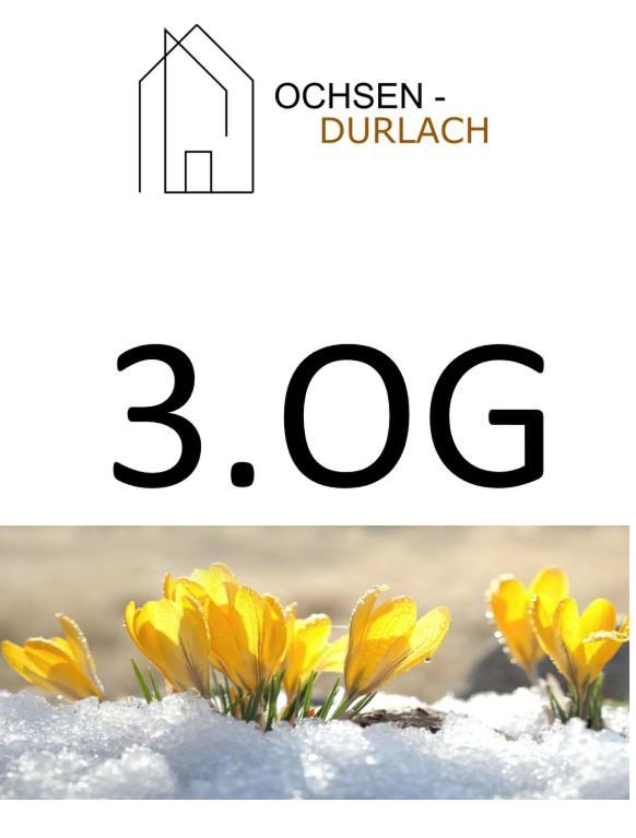 Ochsen-Durlach Karlsruhe Habitación foto